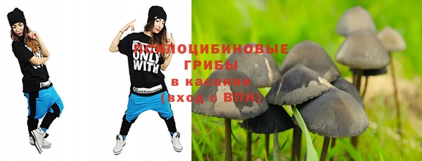 бошки Ступино