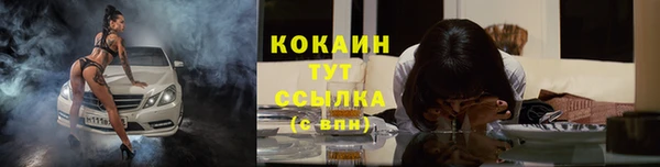 mdpv Тайга