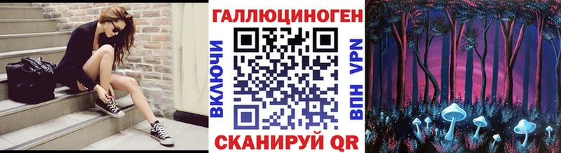 Купить закладки Злынка Псилоцибиновые грибы GOLDEN TEACHER