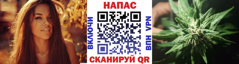 Купить закладки  Злынка  Каннабис ГИДРОПОН 
